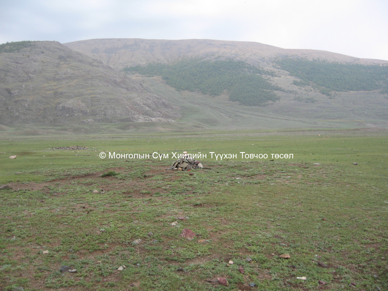 Хойд талаас авсан